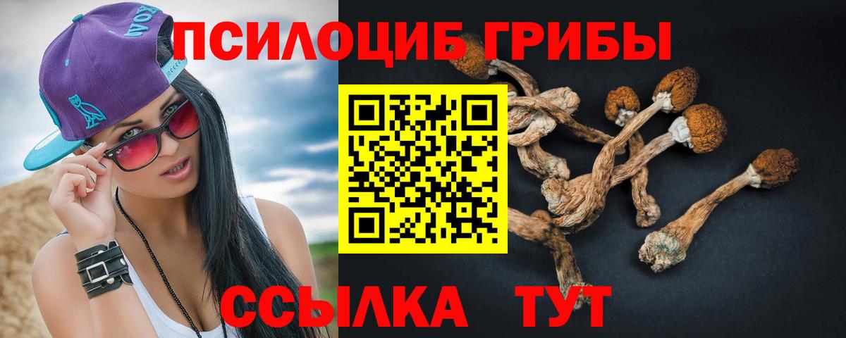 Псилоцибиновые грибы MAGIC MUSHROOMS  Вход с VPN  Первоуральск 